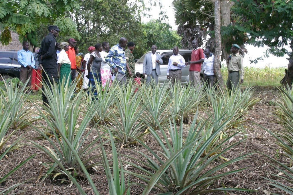 Minister Tasked To Explain Exsistance Of Naads IMG 6889