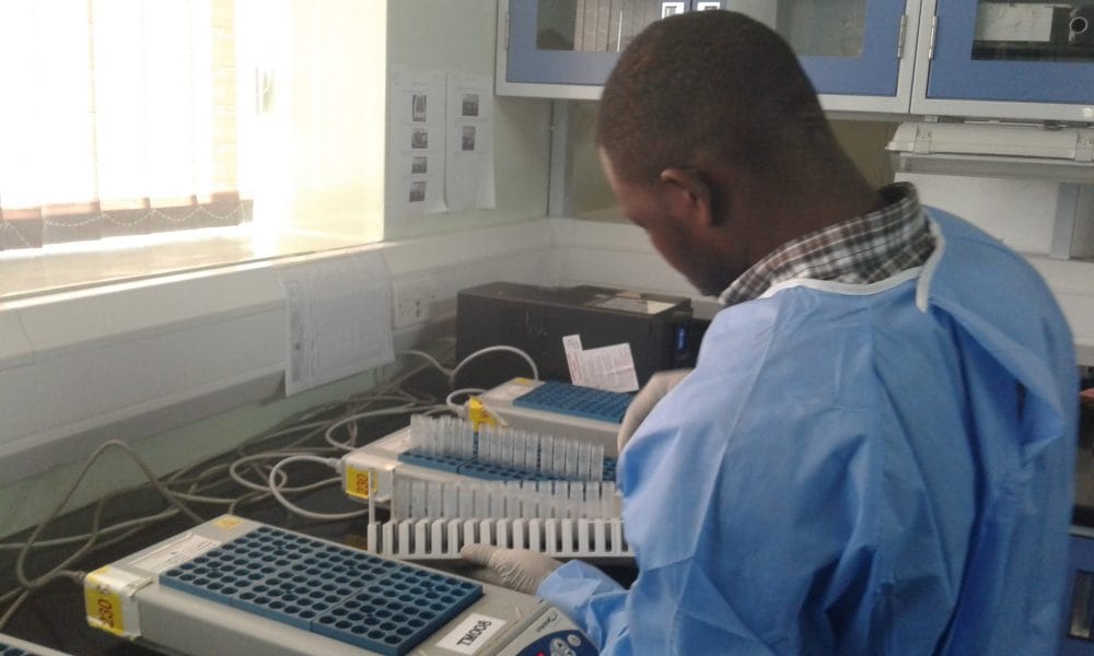 20181206 113442 scaled