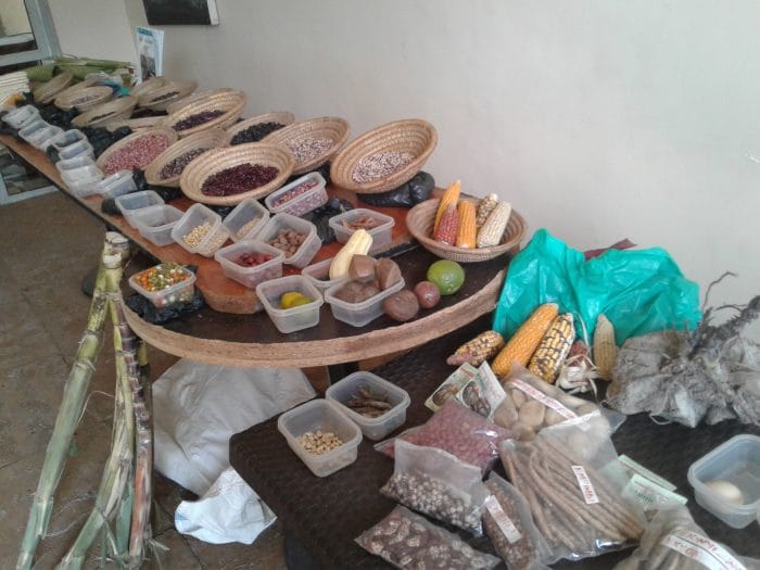 20181221 110338 e1545496881464