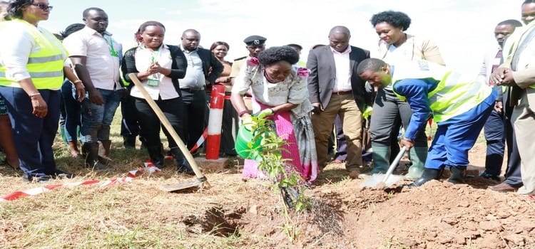 Speaker Rebecca Kadaga launches the tree planting initiative towards climate change mitigation in the Lake Victoria catchment area of the new Katosi water treatment plant on 11 July 2019.