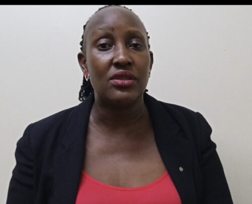 MPs Raise Red Flag Over Local Government Funding, Implementation Gaps